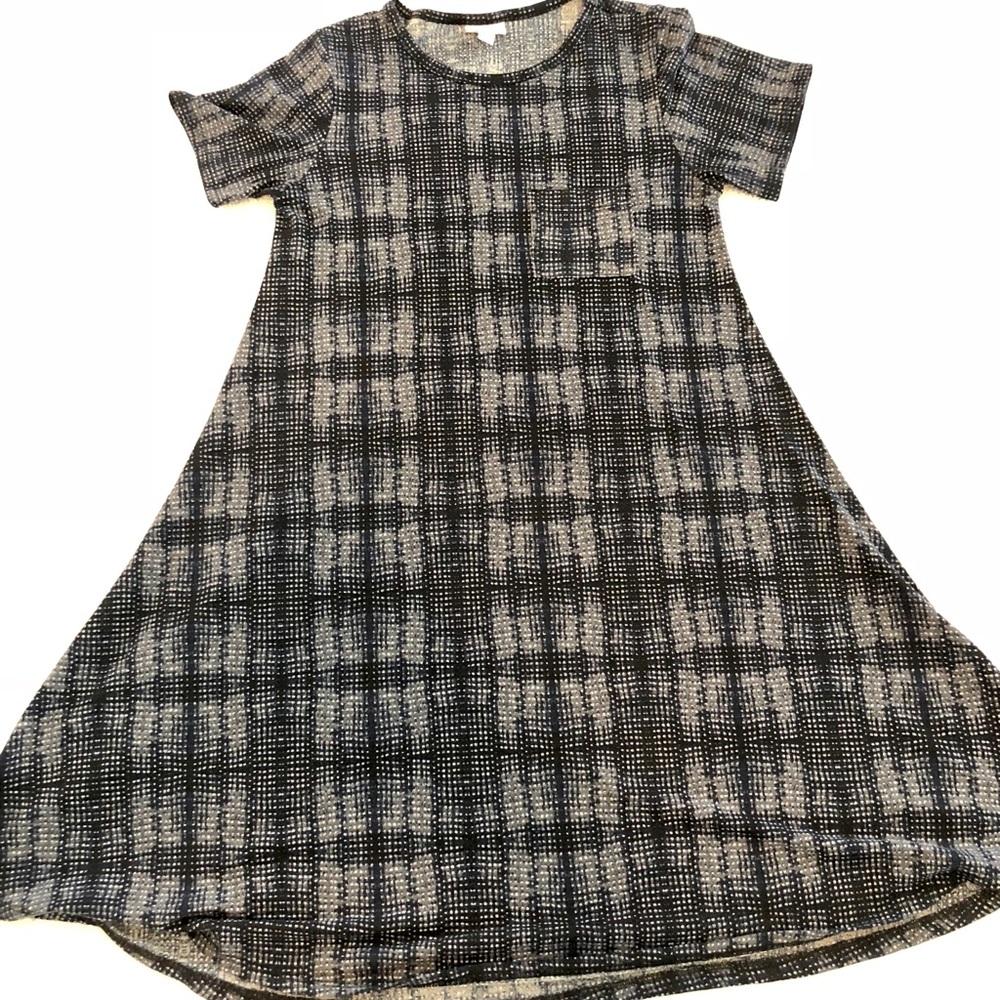 LuLaRoe Carly Swing Dress XS fits like M